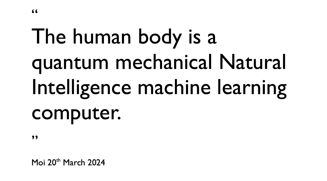 The human body